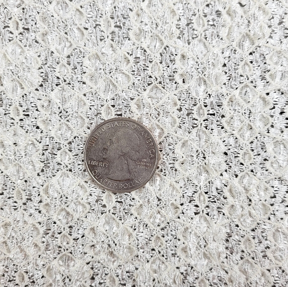 Bridal Ivory Lace Fabric by the yard - 60" Wide - Semi Sheer - Picture 4 of 6